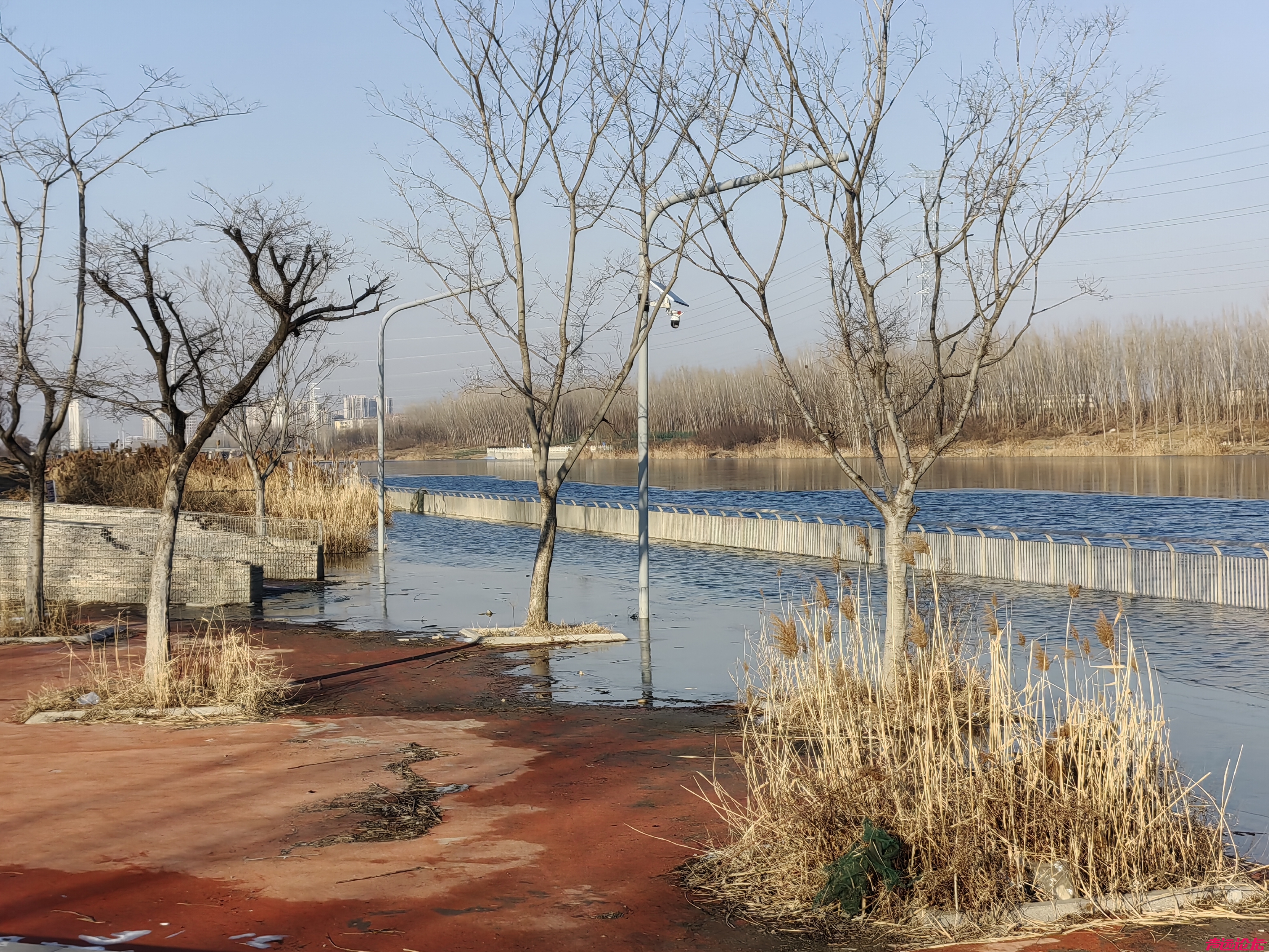 济宁市洸府河沿河公园全部淹了。冬天哪里来的那么多水？-1.jpg