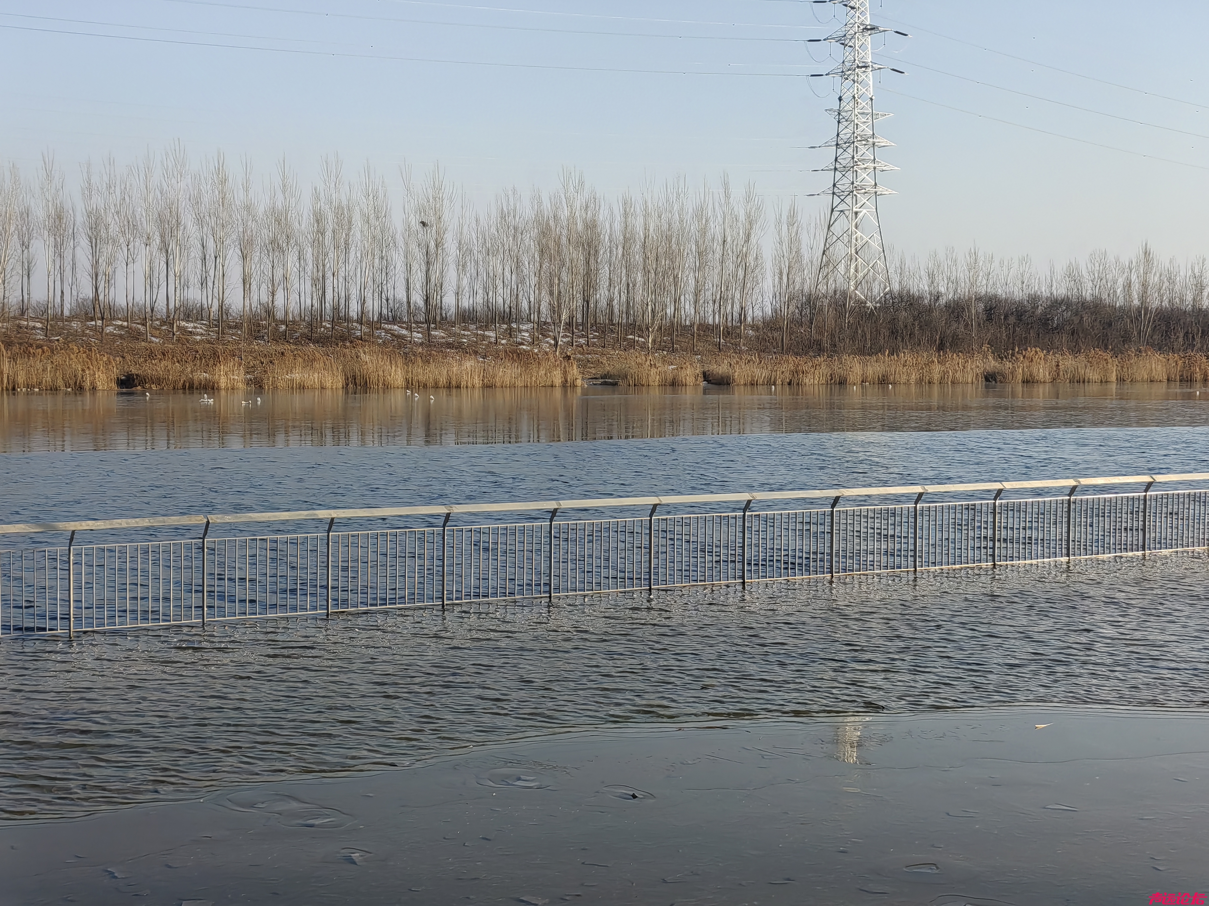 济宁市洸府河沿河公园全部淹了。冬天哪里来的那么多水？-4.jpg