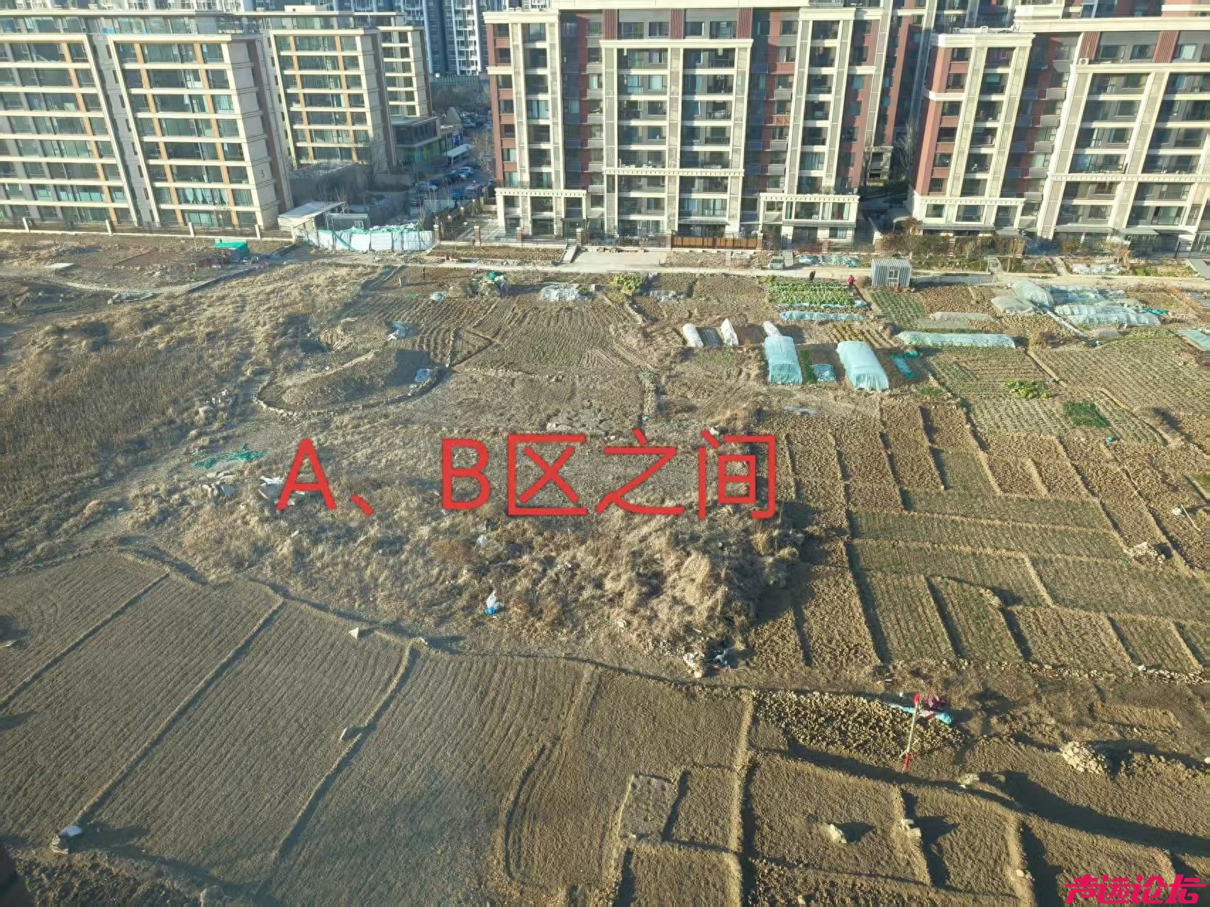 青特瑞马星悦规划“迷雾”、出行“困局”，业主：谁来破局？-1.jpg