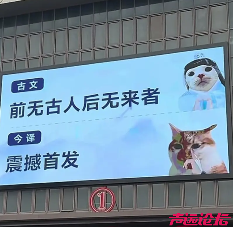 ScreenShot_2026-01-31_114240_834.png