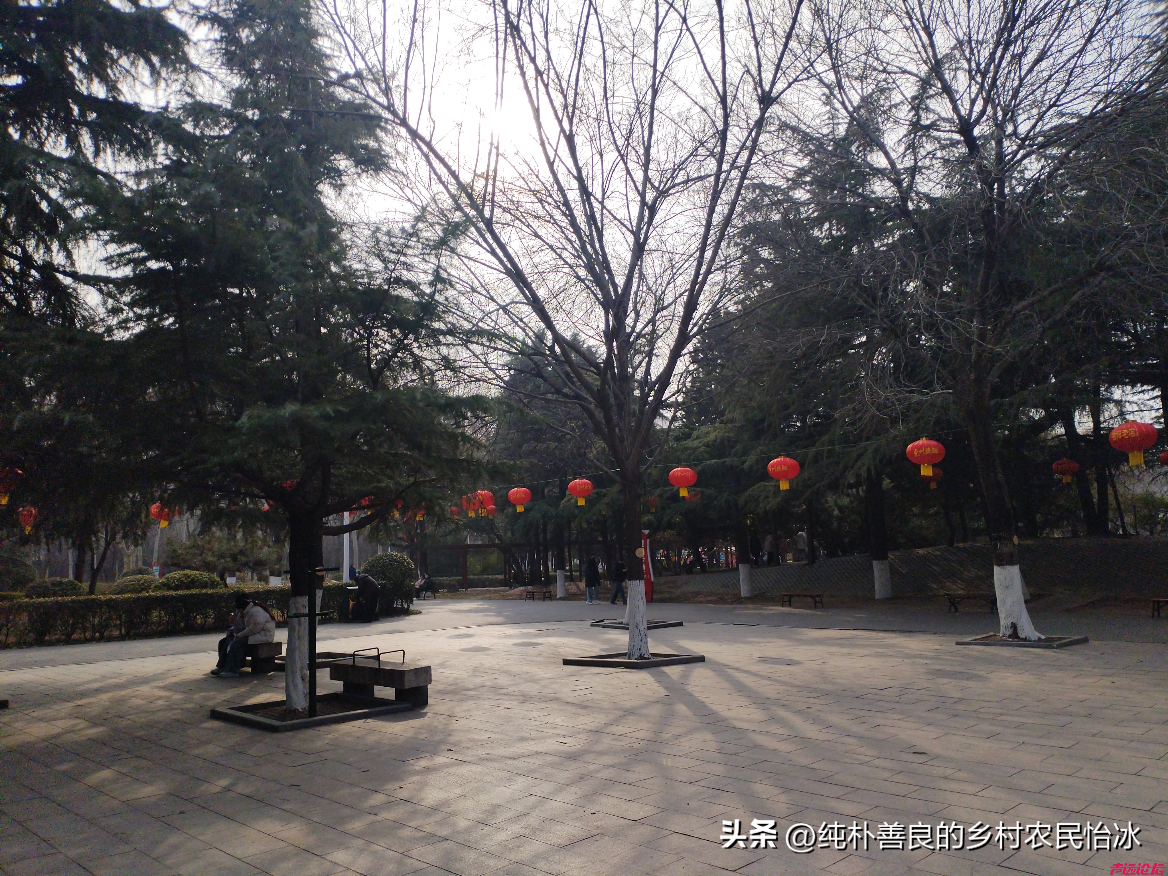 兖州少陵公园，公园里面大红灯笼高高挂，快过年了公园里装扮得很喜庆，人也不少了~-10.jpg