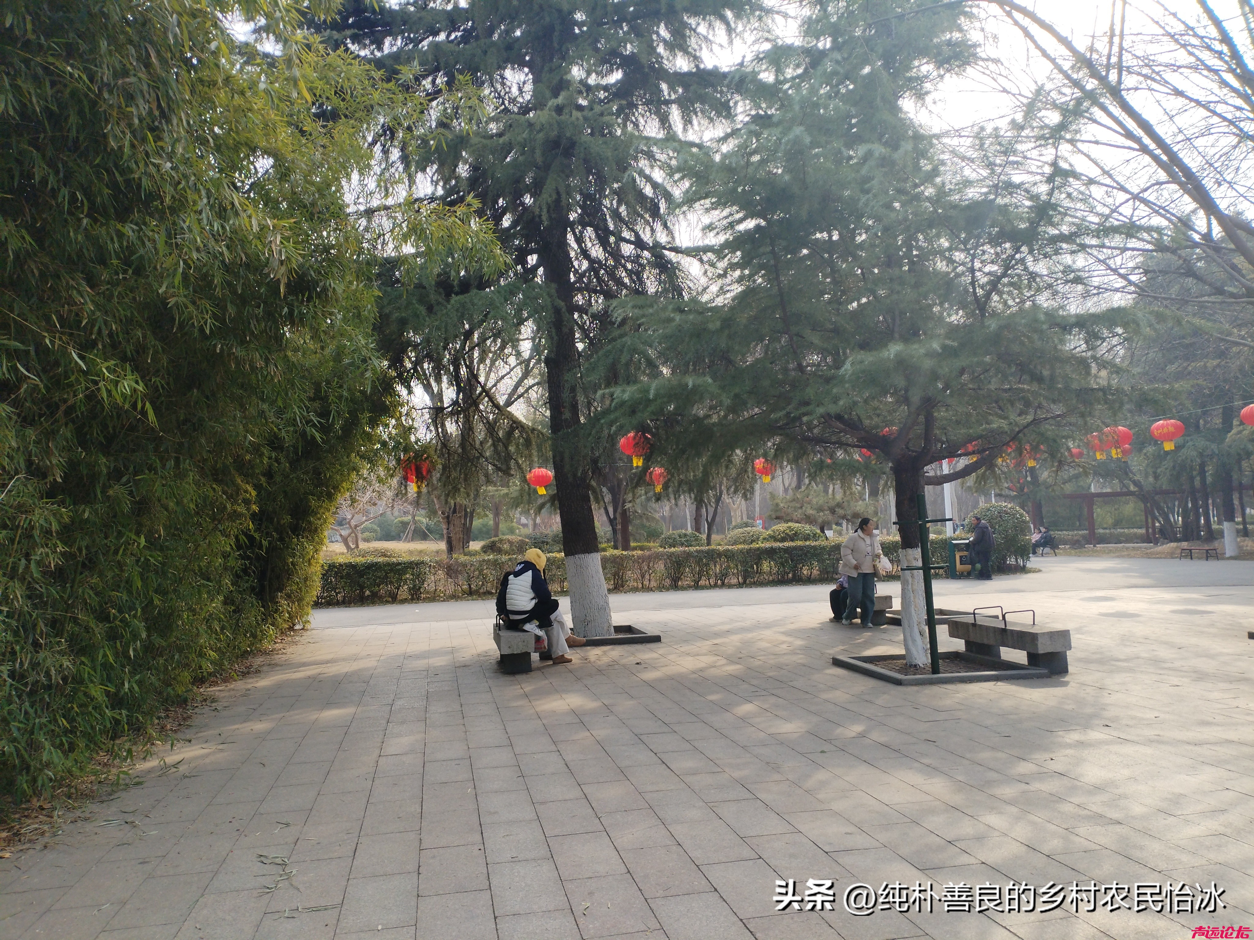 兖州少陵公园，公园里面大红灯笼高高挂，快过年了公园里装扮得很喜庆，人也不少了~-11.jpg