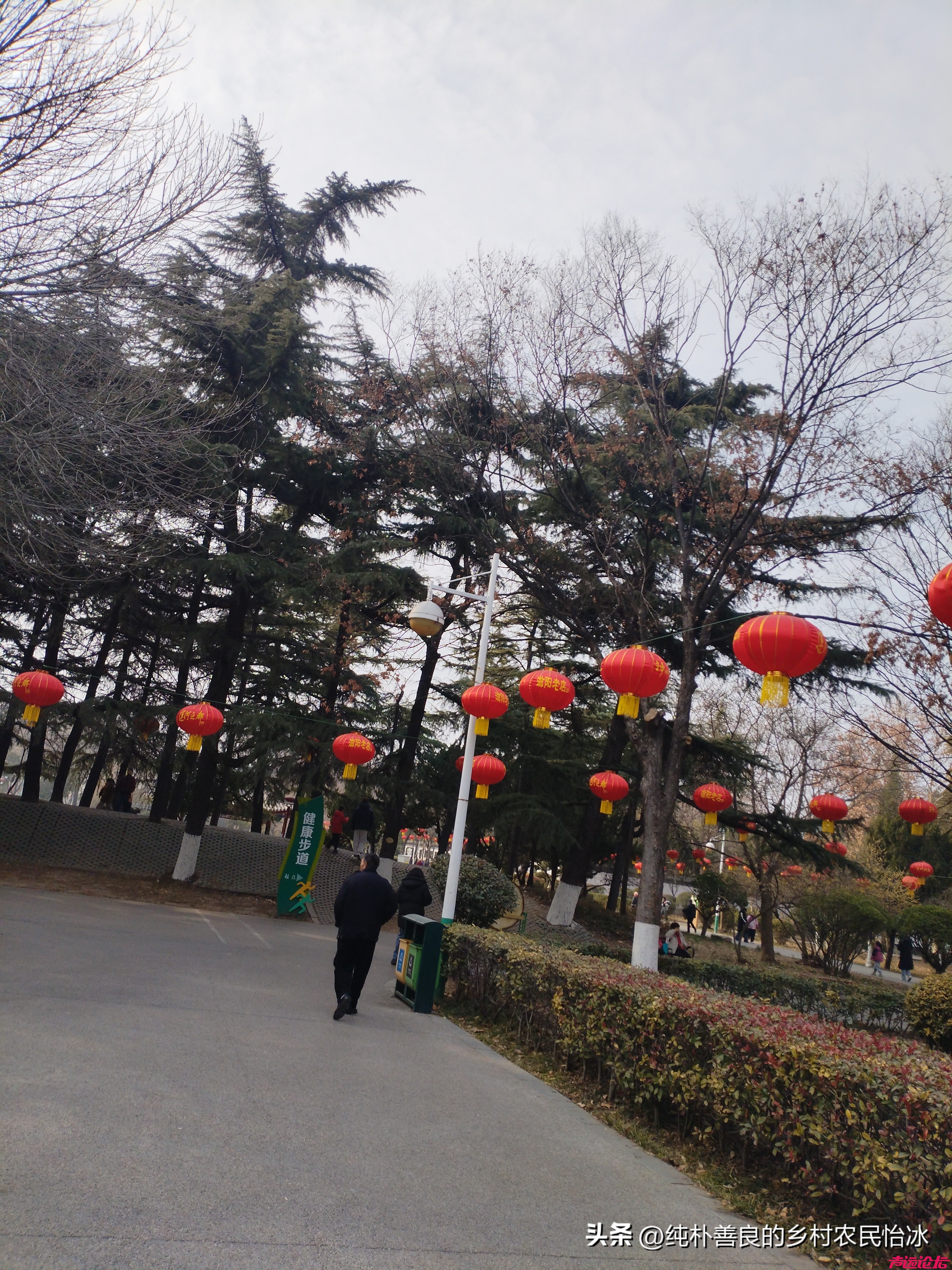 兖州少陵公园，公园里面大红灯笼高高挂，快过年了公园里装扮得很喜庆，人也不少了~-12.jpg