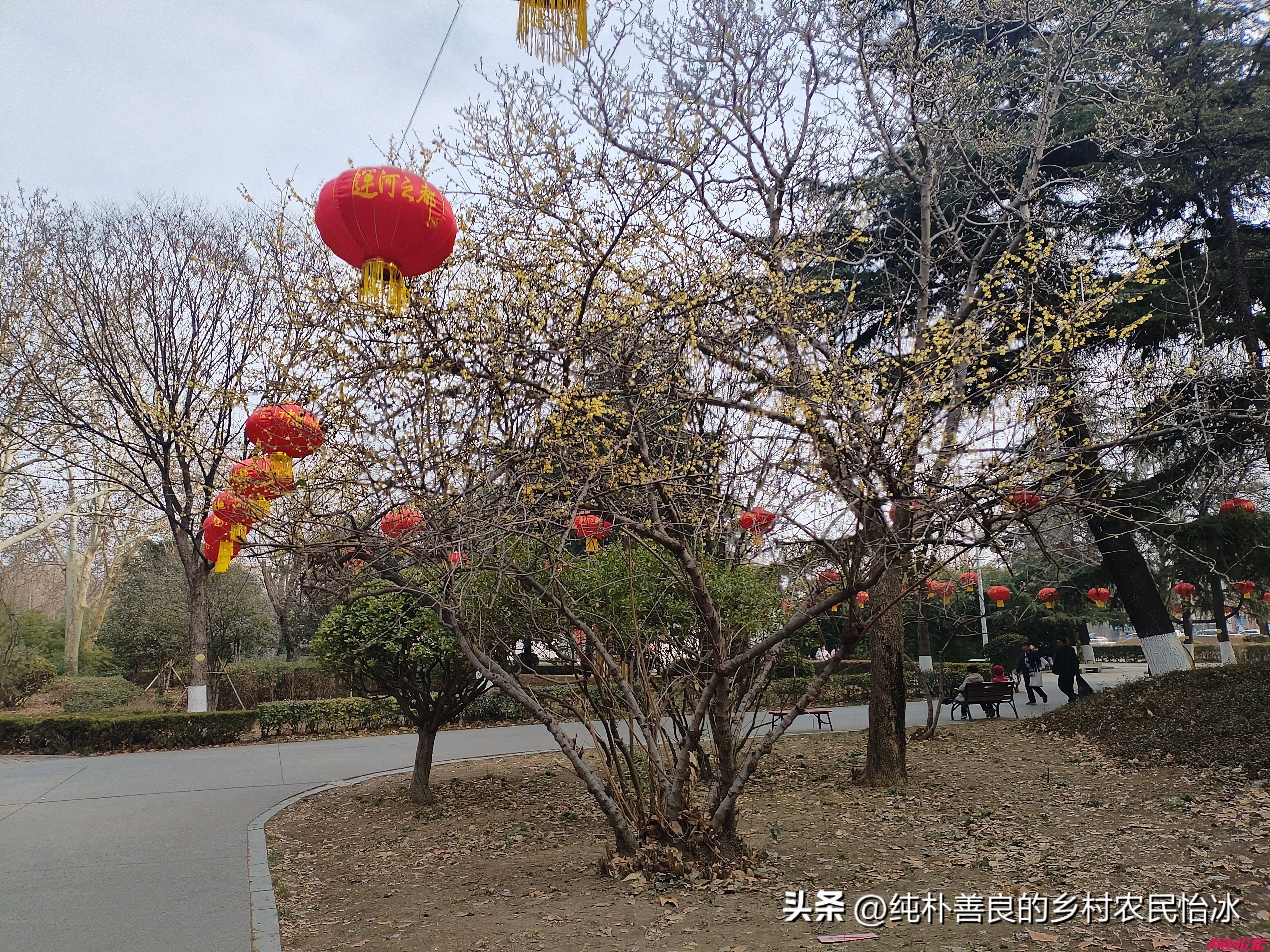 兖州少陵公园，公园里面大红灯笼高高挂，快过年了公园里装扮得很喜庆，人也不少了~-14.jpg