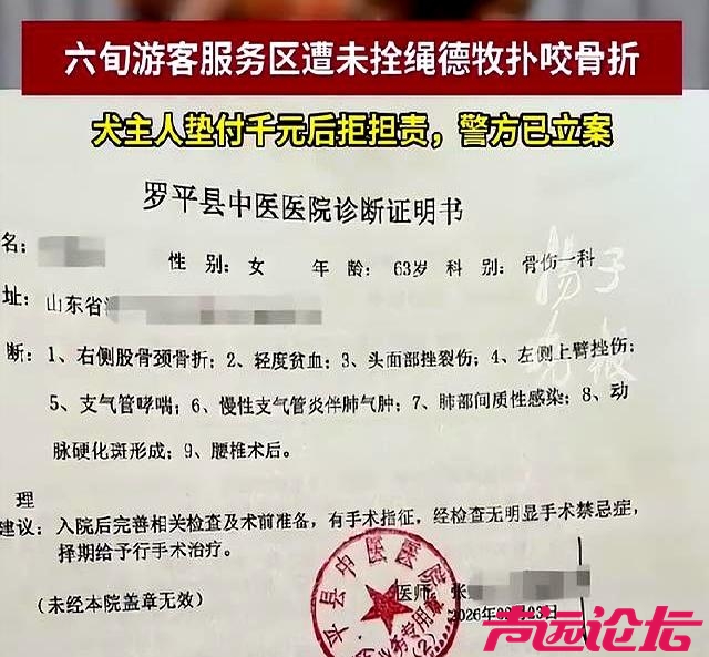 老人被德牧2次撕咬进ICU：犬主得知手术费约需2到3万元后态度转变-2.jpg