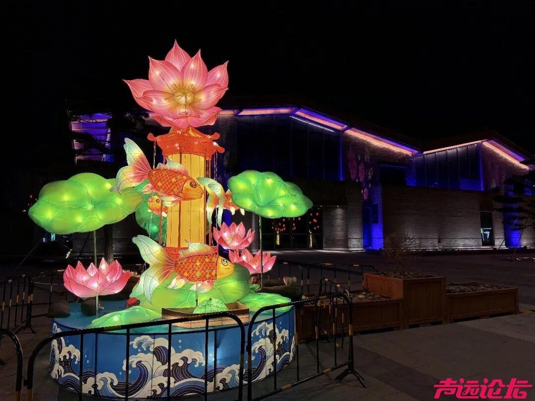 正月十五来济宁赏灯！随手拍都是古风大片-18.jpg