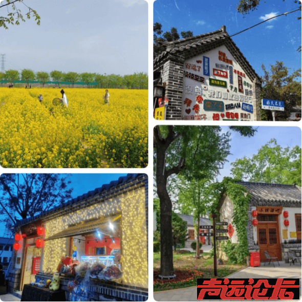 共赴春日之约！济宁公交赏花踏青定制专线等你来参与-2.jpg