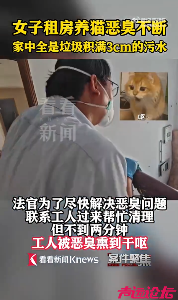 9.png