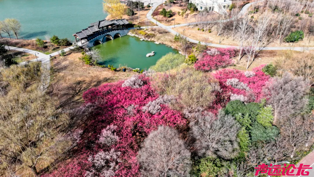 济宁周边踏青赏花全攻略！一眼沦陷整个春天！-5.jpg