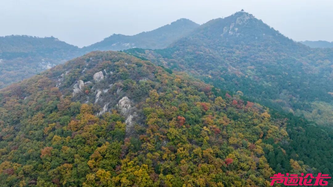 济宁周边踏青赏花全攻略！一眼沦陷整个春天！-21.jpg