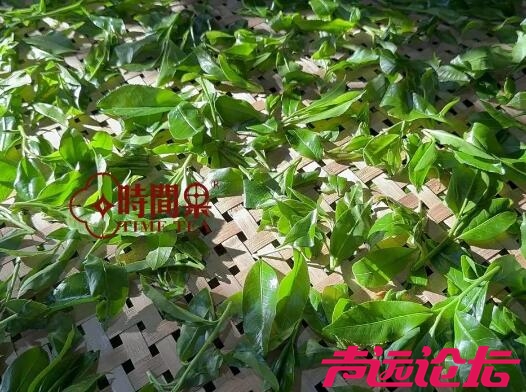 图3.jpg
