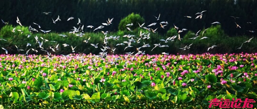 “跑游济宁 一路生花”济宁春日精品旅游线路，解锁孔孟之乡的诗与远方-19.jpg