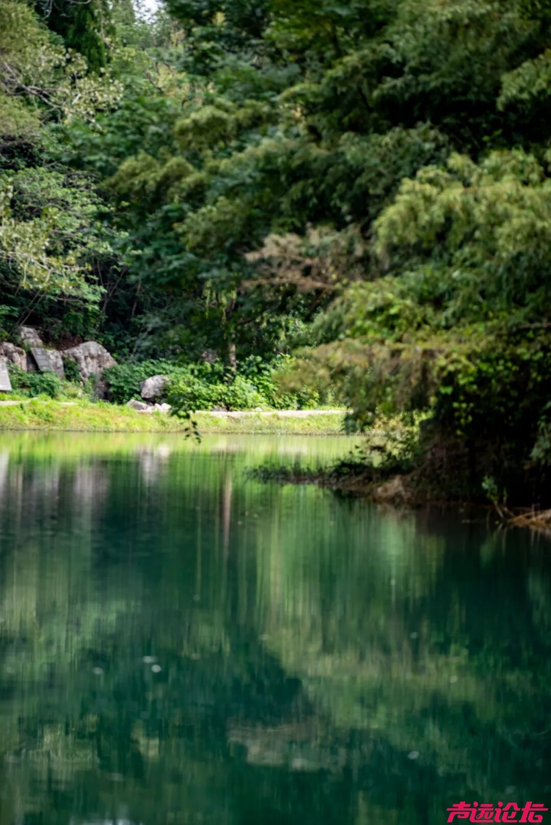 “跑游济宁 一路生花”济宁春日精品旅游线路，解锁孔孟之乡的诗与远方-42.jpg