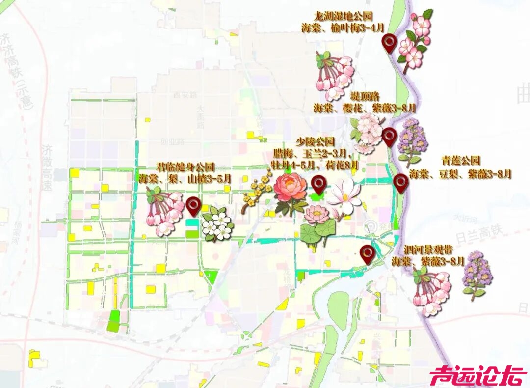 济宁市赏花地图来啦（2026年版）！-3.jpg