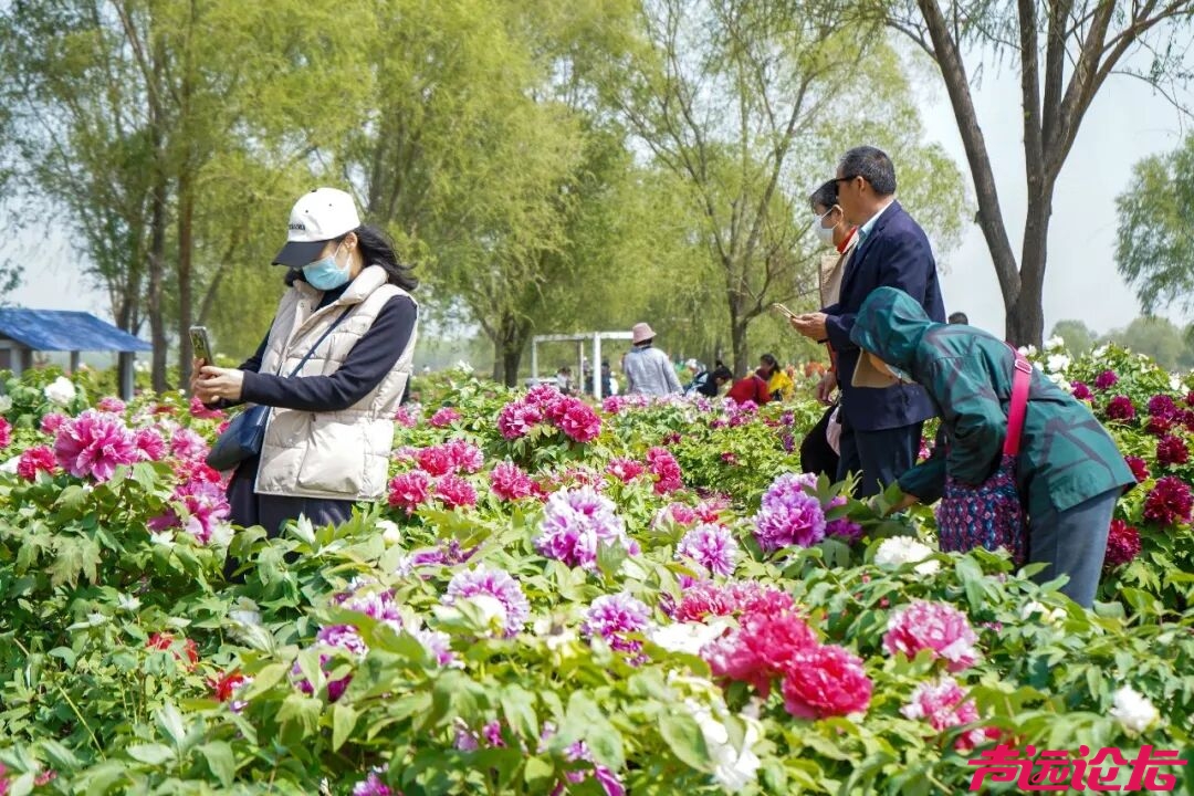 别辜负春光！太白湖新区即将开启赏花模式-14.jpg