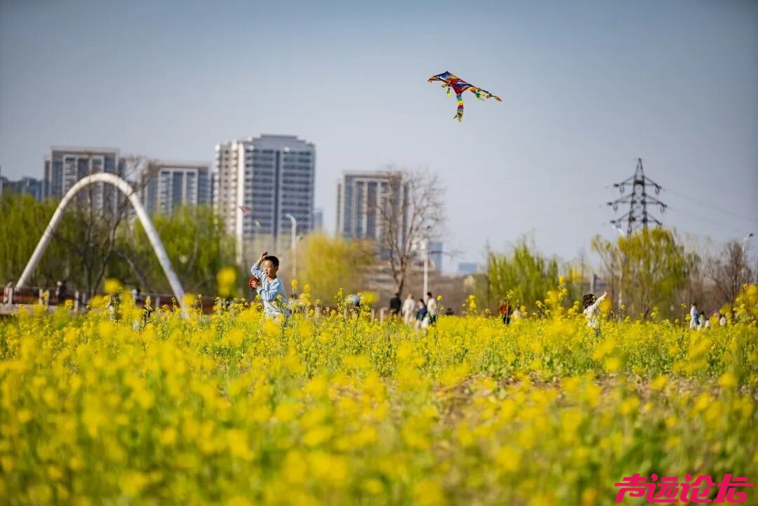 别辜负春光！太白湖新区即将开启赏花模式-18.jpg