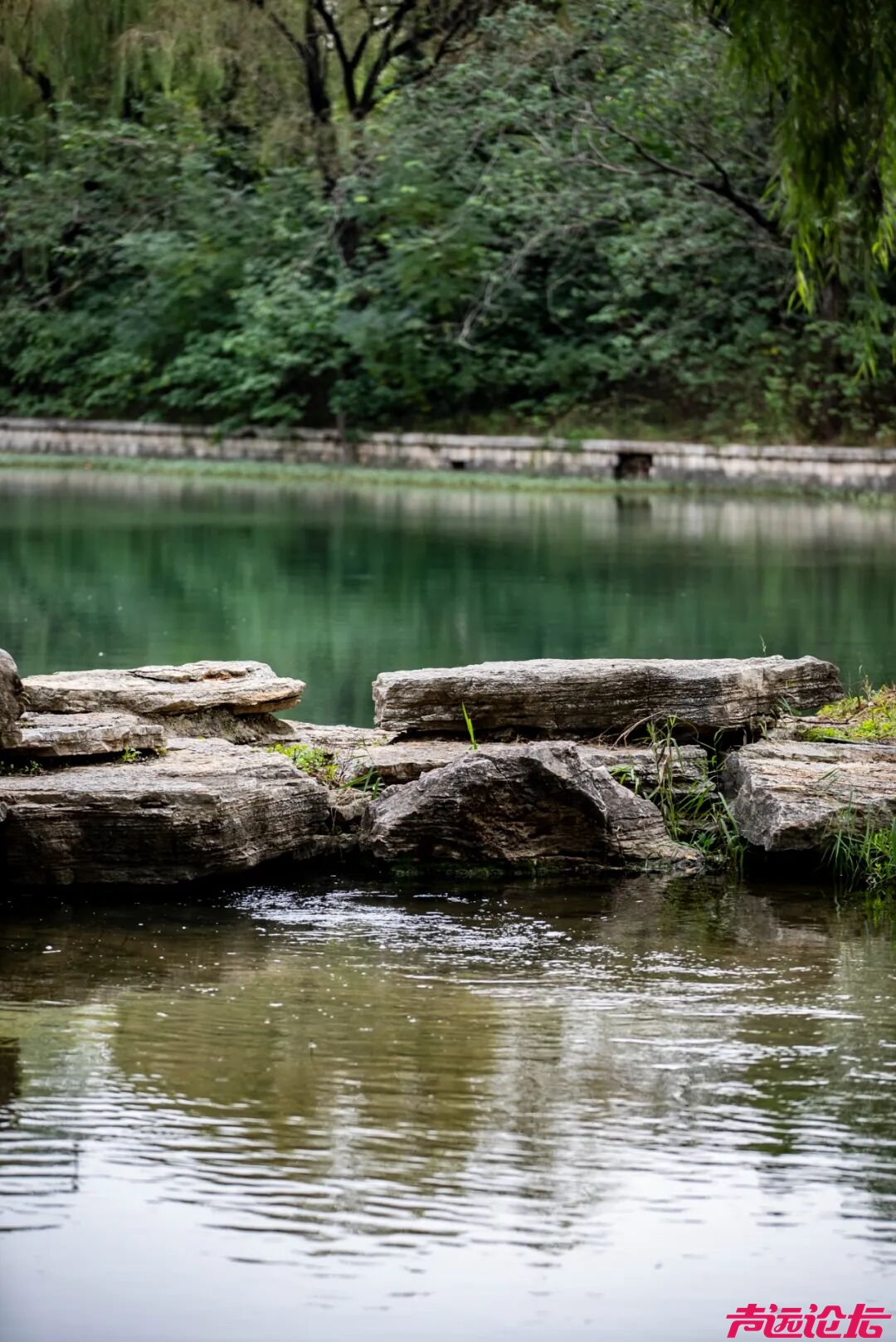 “跑游济宁 寻味圣地”2026济宁马拉松专属美食逛吃线路指南-22.jpg