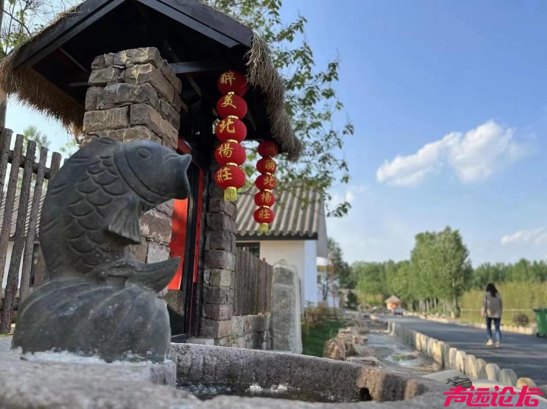 汶上这座小镇登上大众日报，凭什么？-5.jpg