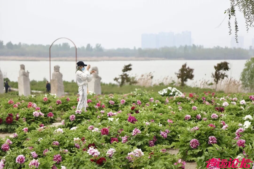 四月来太白湖看牡丹，专治各种“班味”-3.jpg
