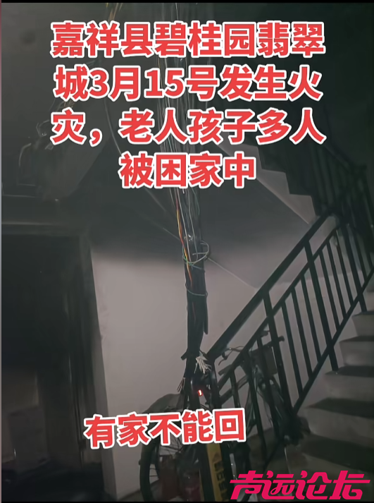 ScreenShot_2026-03-30_113150_417.png