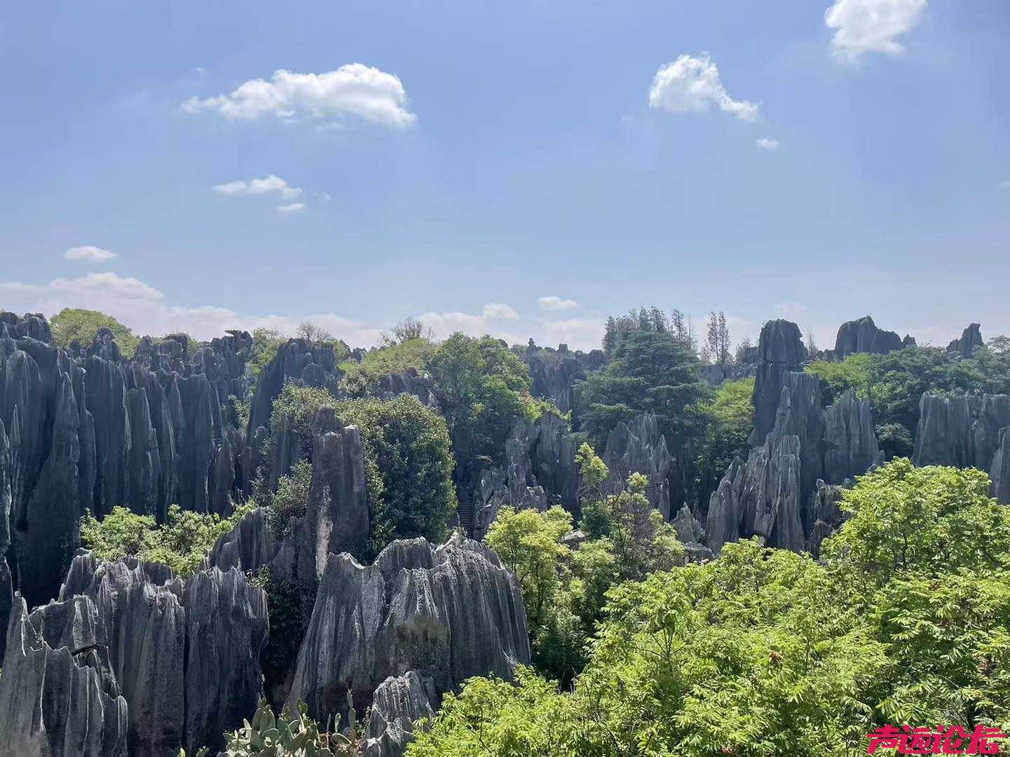 20260405061756front1_0_618041_FkAtcSZ7NapsIfiwlEHm-STmNXDc.jpg