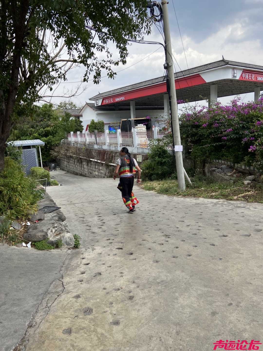 20260405224348front1_0_618041_FvD9oo4oxR4E4ikminVxHKuxy03_.jpg
