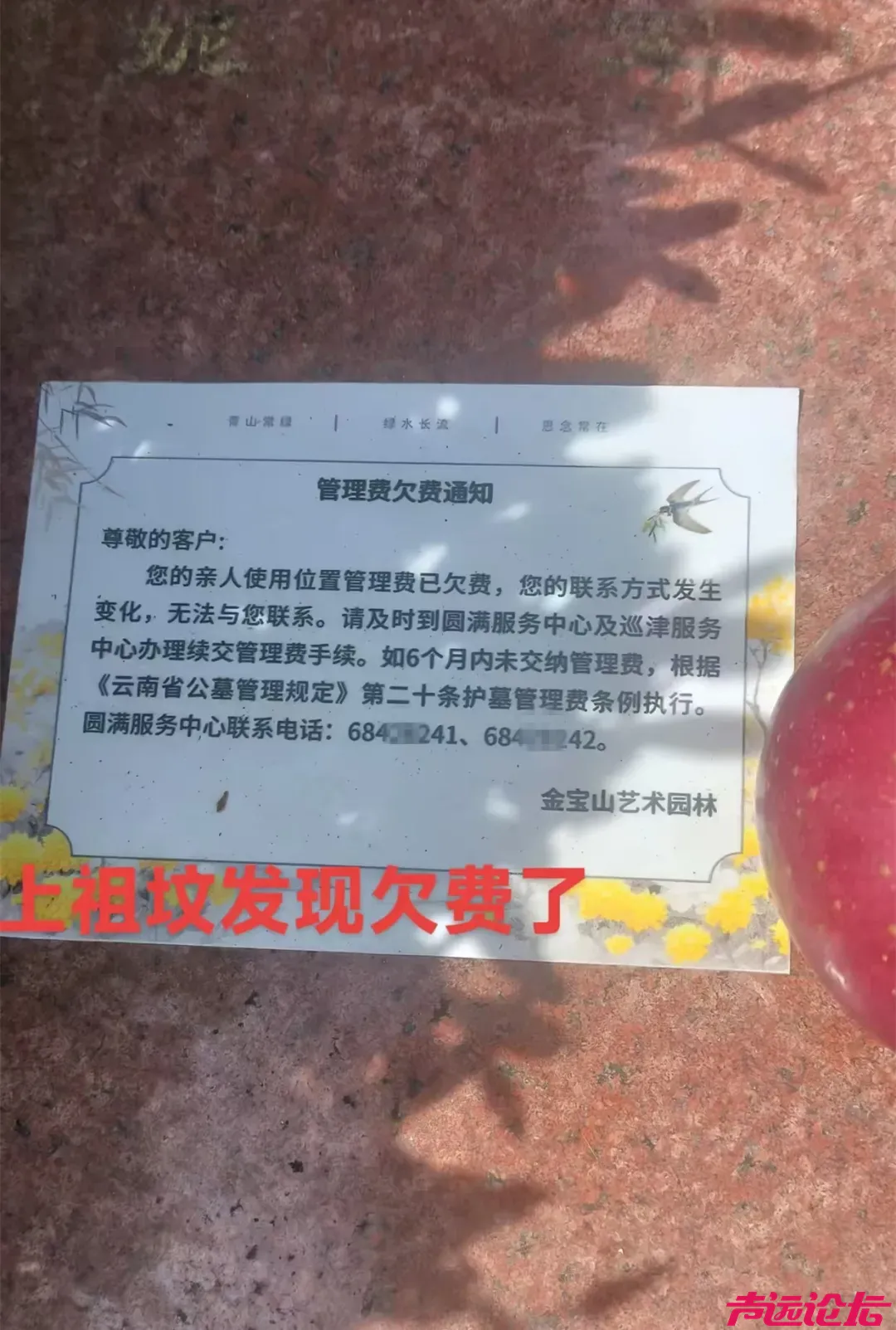 网友称“上坟发现欠费了”，园林：费用含绿化卫生安保等-1.jpeg