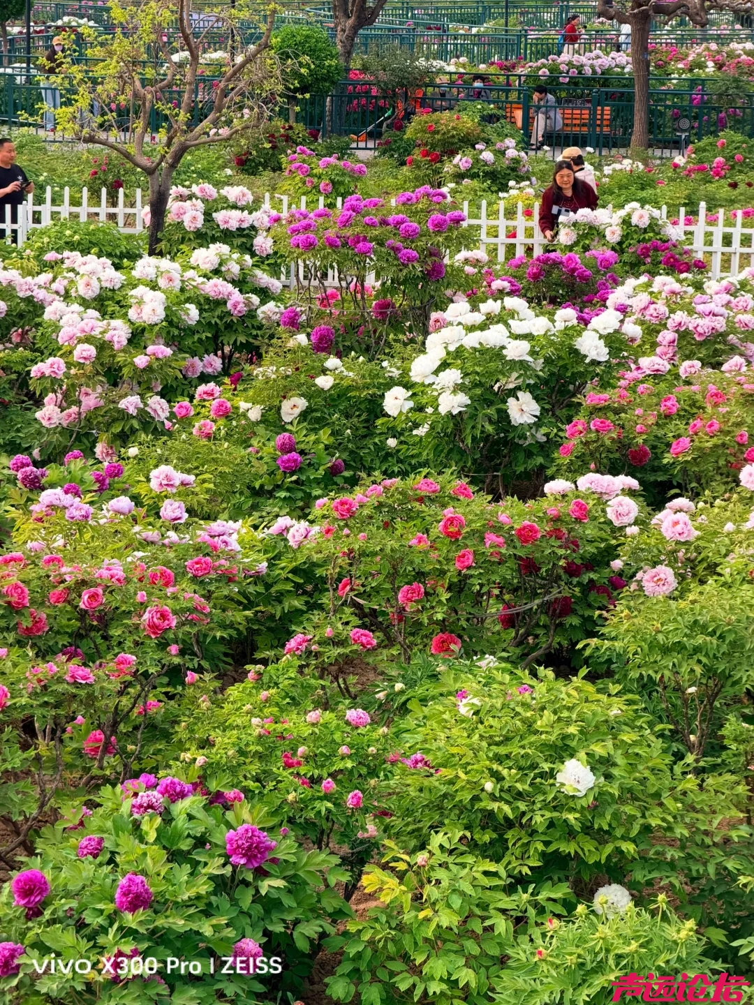 7d2c5cbf-ba67-41a6-aa36-ce01bc923595.jpg