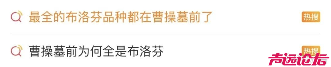 曹操墓前摆满布洛芬，这届年轻人重新定义扫墓-1.jpg