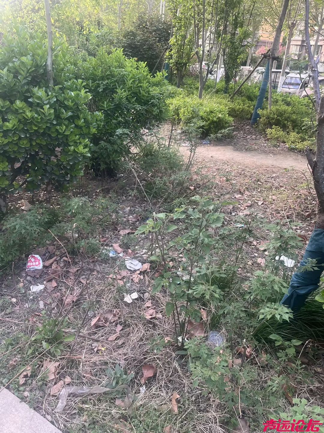 从"网红打卡地"到"垃圾集散场" 睿湖体育公园管理缺位谁之过？-2.jpg
