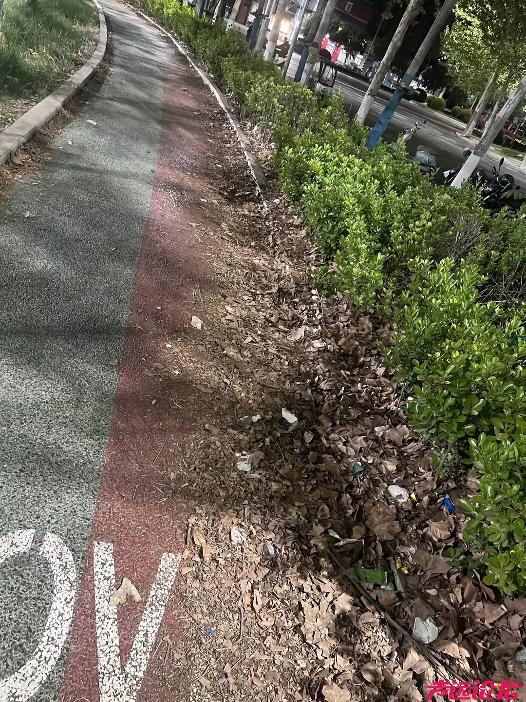 从"网红打卡地"到"垃圾集散场" 睿湖体育公园管理缺位谁之过？-3.jpg