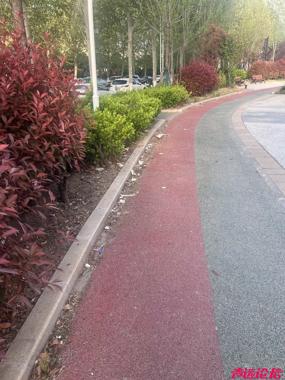从"网红打卡地"到"垃圾集散场" 睿湖体育公园管理缺位谁之过？-4.jpg
