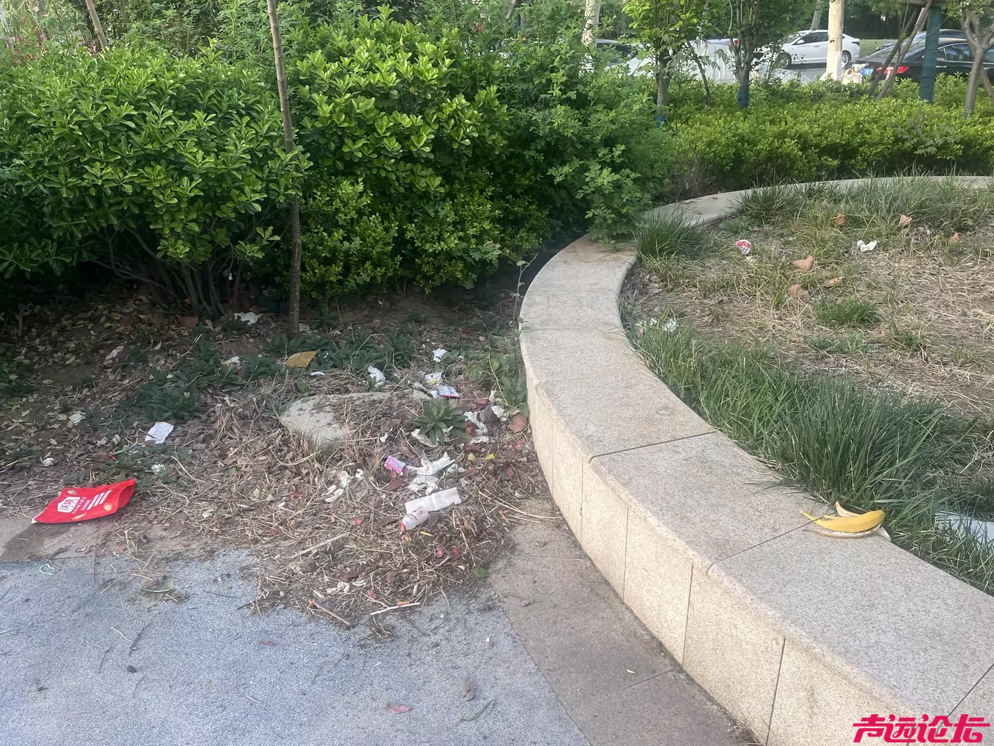 从"网红打卡地"到"垃圾集散场" 睿湖体育公园管理缺位谁之过？-5.jpg