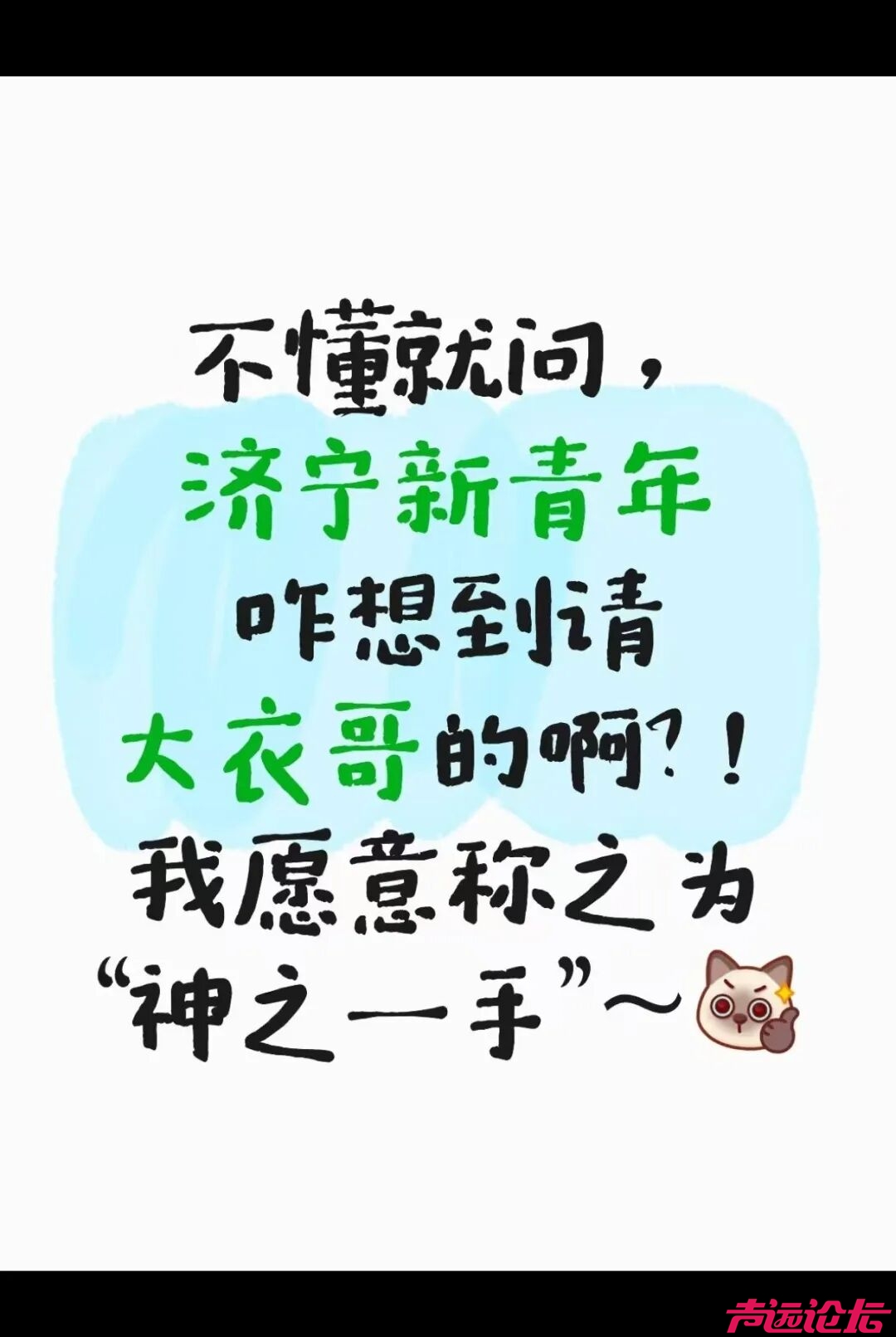 “新青年音乐节”的荒谬现形记：票价谎言与主题崩坏-10.jpg