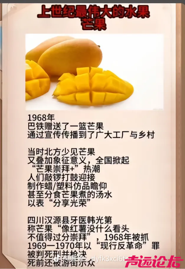1000006574.png