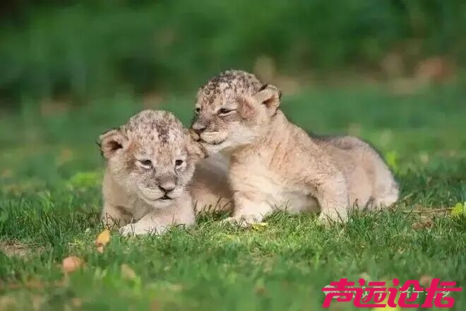 定了！济宁市野生动物园选址在这里！-1.jpg