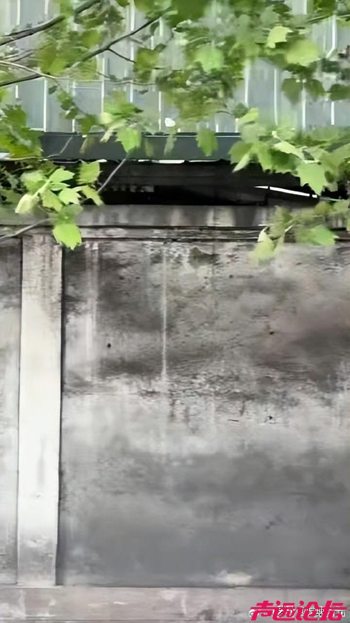 微山湖生态告急，矿区污染治理刻不容缓-2.jpg