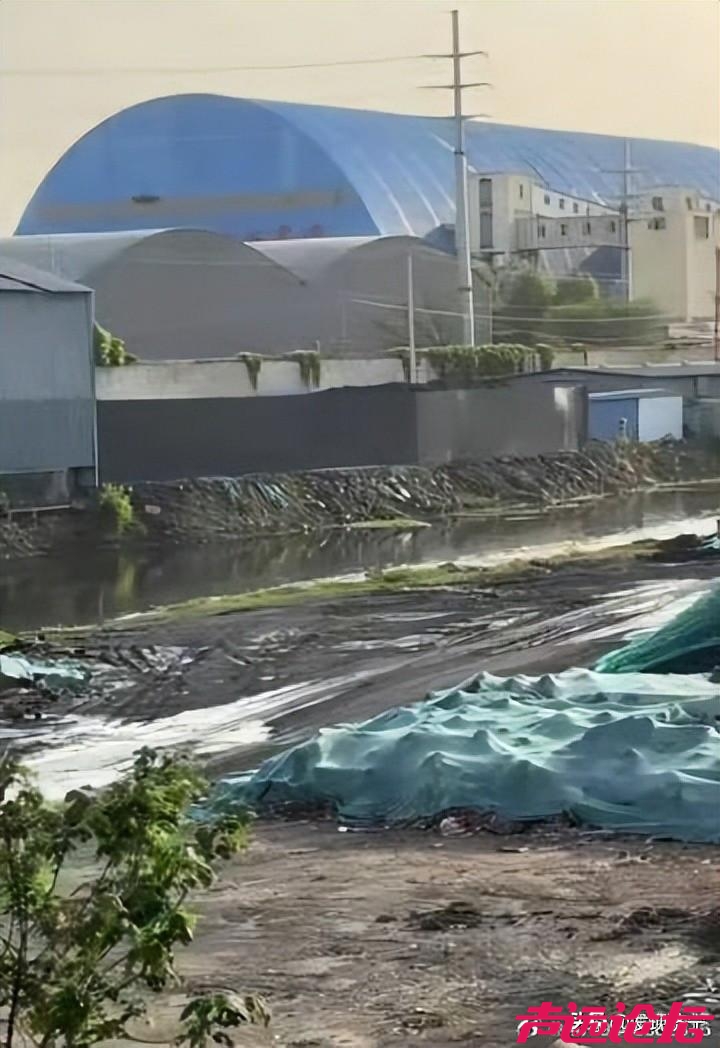 微山湖生态告急，矿区污染治理刻不容缓-7.jpg