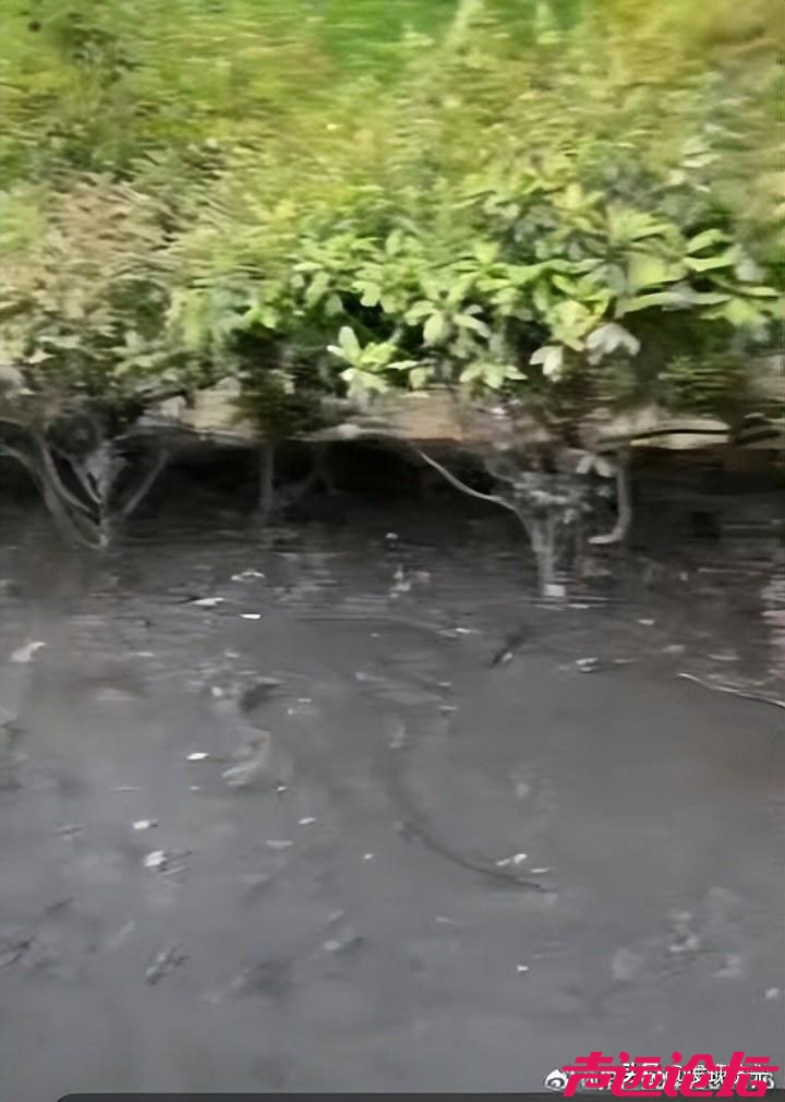 微山湖生态告急，矿区污染治理刻不容缓-8.jpg