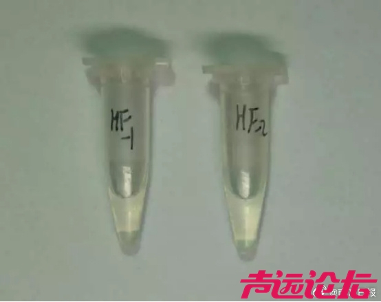 001PQmVogy1icm8jnztgqj60fe0c7q4q02.jpg