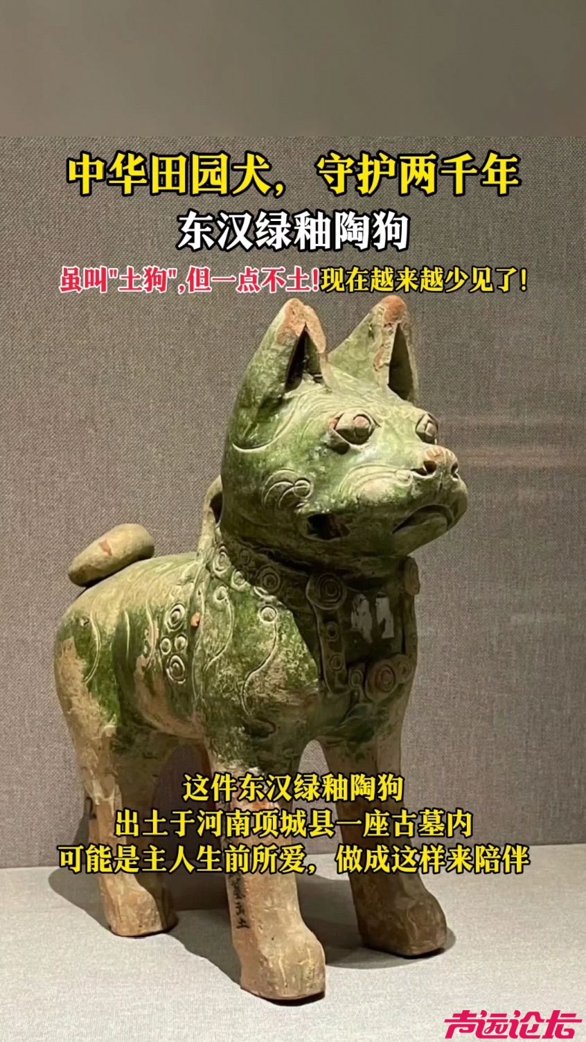 6f70c53cfd62e5d68ffed3dd5c38d04f.jpeg?for=bg