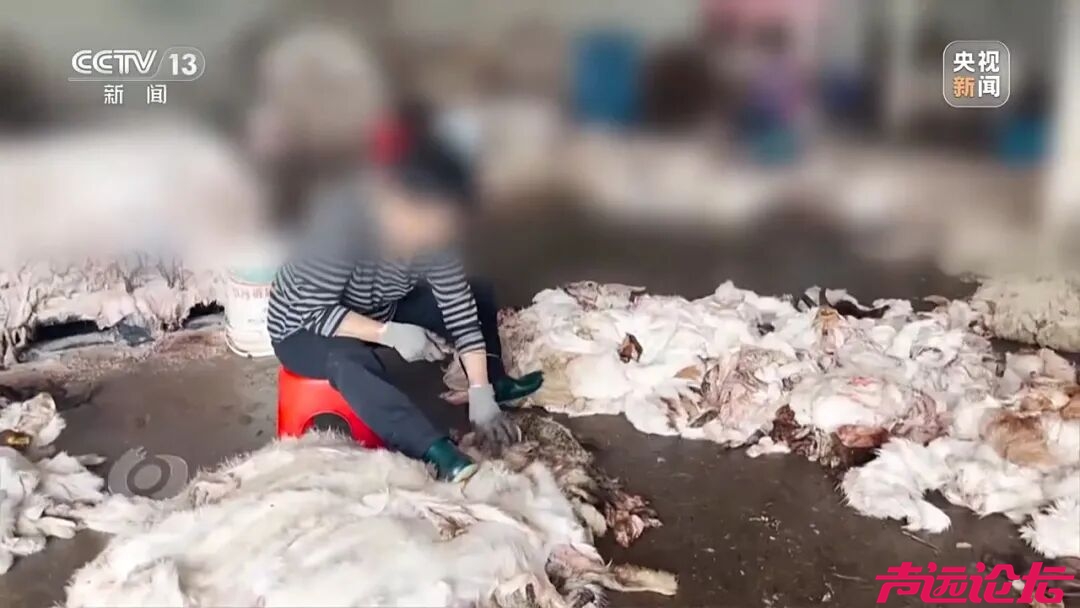 《焦点访谈》曝光：河道变“毒水沟”！徐州成立调查组，提级调查-6.jpg