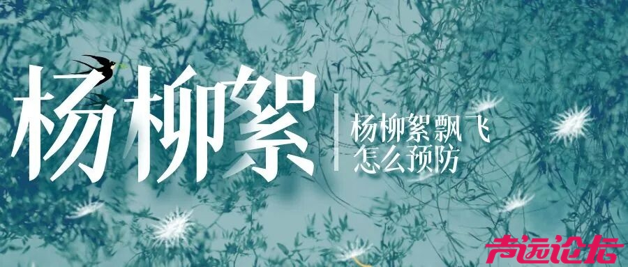 毛҉毛҉毛҉毛҉ 又来了！进入盛飞期，持续一个月-4.jpg