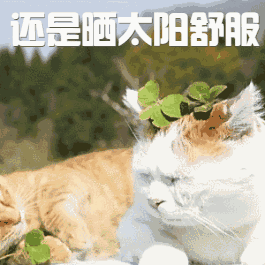 冷空气要来，山东中到大雨+雷电+阵风7～8级，济宁最新天气-1.jpg