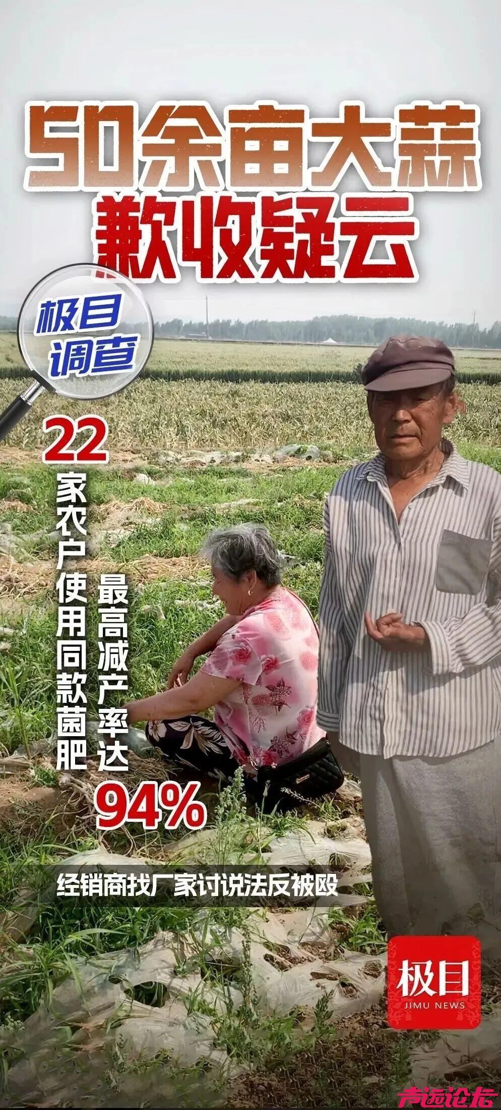 山东济宁50余亩大蒜大幅减产：22家农户使用同款肥料，最高减产率达94%-1.jpg