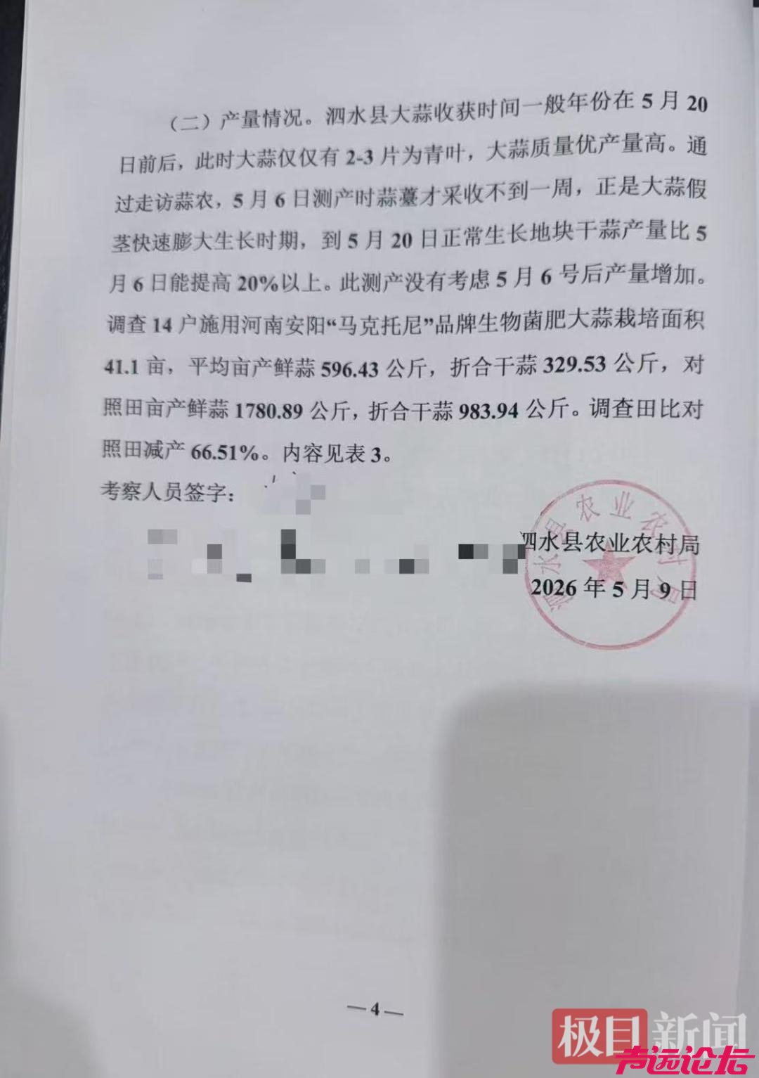 山东济宁50余亩大蒜大幅减产：22家农户使用同款肥料，最高减产率达94%-5.jpg