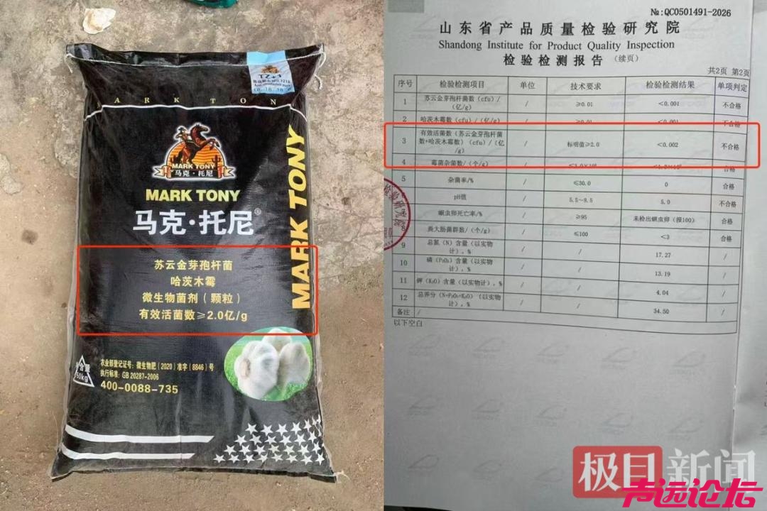 山东济宁50余亩大蒜大幅减产：22家农户使用同款肥料，最高减产率达94%-13.jpg