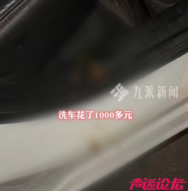 女子在网约车里拉屎，司机崩溃：太恶心了！她全程清醒，途中还和男朋友打电话-1.png