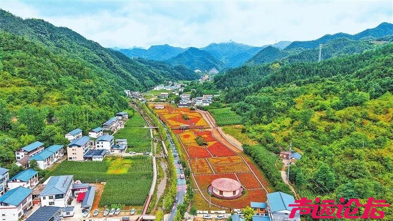 河南带薪休假新政：领导干部带头，全员应休尽休-2.jpg